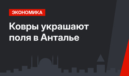 Ковры украшают поля в Анталье
