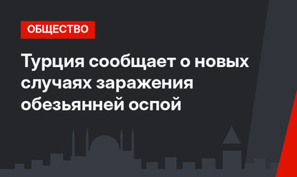 Турция сообщает о новых случаях заражения обезьянней оспой
