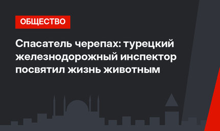 Спасатель черепах: турецкий железнодорожный инспектор посвятил жизнь животным