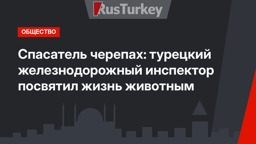 Спасатель черепах: турецкий железнодорожный инспектор посвятил жизнь животным