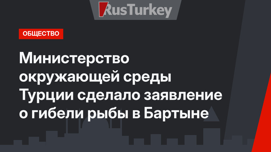 Министерство окружающей среды Турции сделало заявление о гибели рыбы в Бартыне
