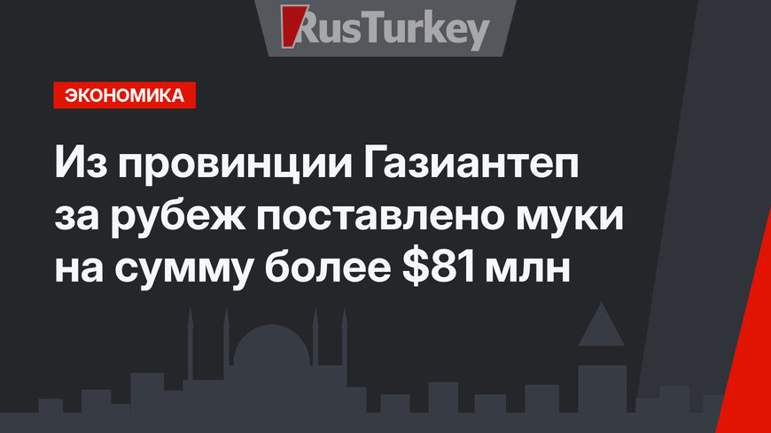  Из провинции Газиантеп за рубеж поставлено муки на сумму более $81 млн