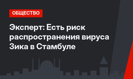 Эксперт:  Есть риск  распространения вируса Зика в Стамбуле