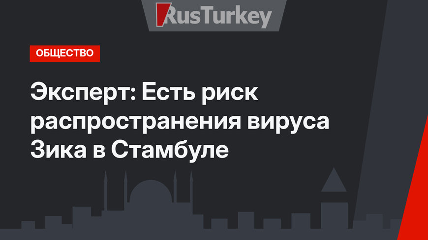 Эксперт:  Есть риск  распространения вируса Зика в Стамбуле