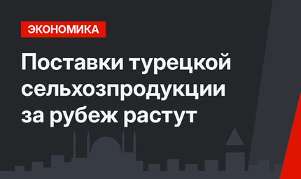 Поставки турецкой сельхозпродукции за рубеж растут