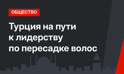 Турция на пути к лидерству по пересадке волос