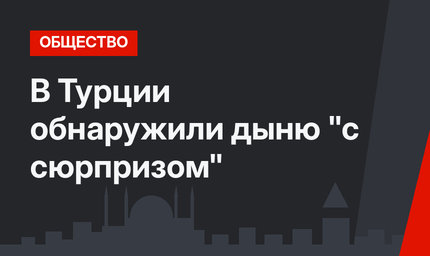 В Турции обнаружили дыню  "с сюрпризом"
