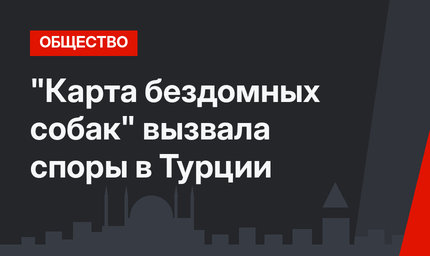"Карта бездомных собак" вызвала споры в Турции