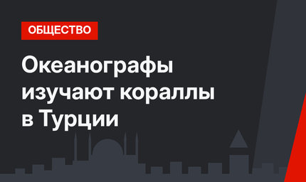Океанографы изучают кораллы в Турции