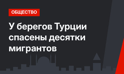 У берегов Турции спасены десятки мигрантов