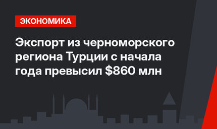Экспорт из черноморского региона Турции с начала года превысил $860 млн