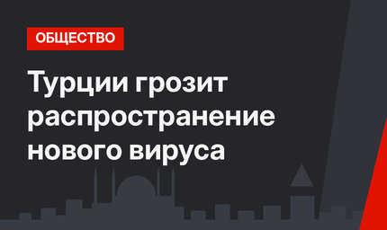  Турции грозит распространение нового вируса