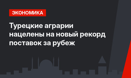 Турецкие аграрии нацелены на новый рекорд поставок за рубеж