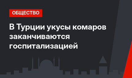 В Турции укусы комаров заканчиваются госпитализацией