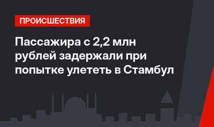 Пассажира с 2,2 млн рублей задержали при попытке улететь в Стамбул