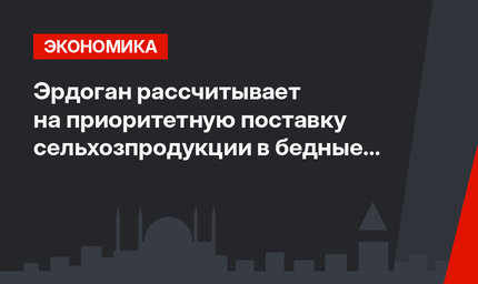 Эрдоган рассчитывает на приоритетную поставку сельхозпродукции в бедные страны