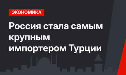 Россия стала самым крупным импортером Турции  