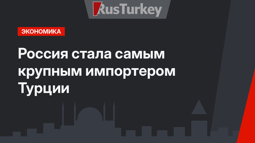 Россия стала самым крупным импортером Турции  