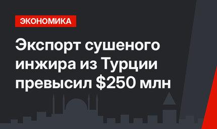 Экспорт сушеного инжира из Турции превысил $250 млн