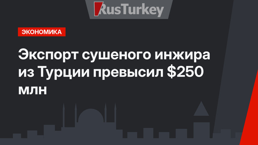 Экспорт сушеного инжира из Турции превысил $250 млн