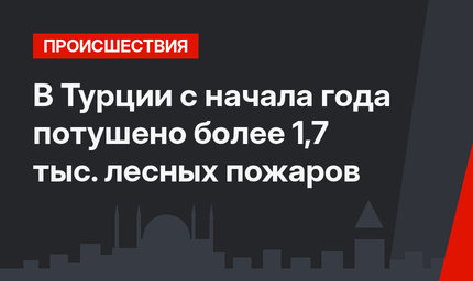 В Турции с начала года потушено более 1,7 тыс. лесных пожаров