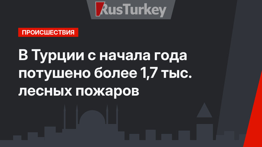 В Турции с начала года потушено более 1,7 тыс. лесных пожаров