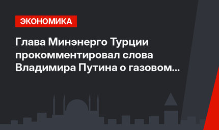 Глава Минэнерго Турции прокомментировал слова Владимира Путина о газовом хабе