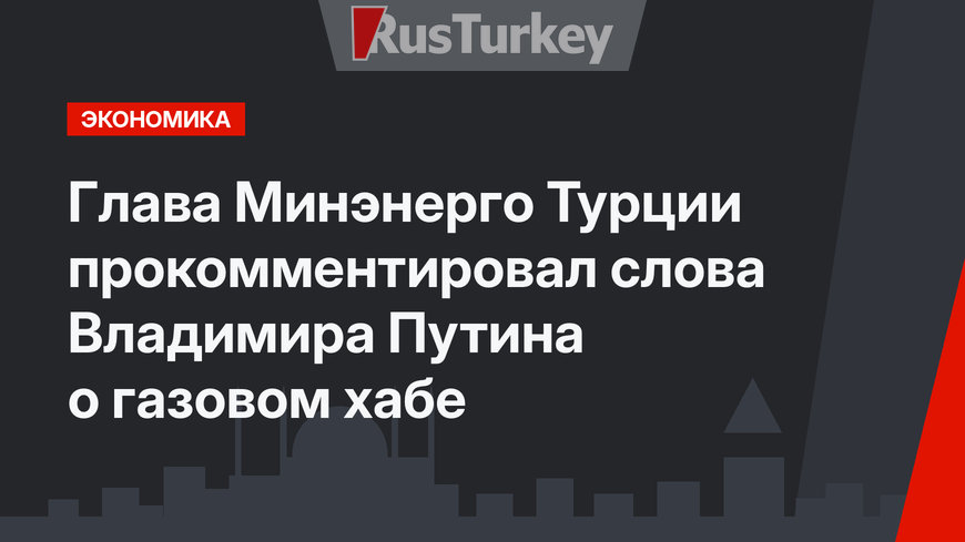 Глава Минэнерго Турции прокомментировал слова Владимира Путина о газовом хабе