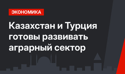Казахстан и Турция готовы развивать аграрный сектор