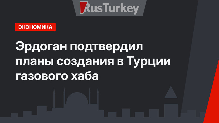 Эрдоган подтвердил планы создания в Турции газового хаба