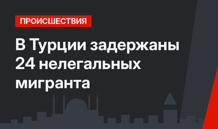 В Турции задержаны 24 нелегальных мигранта