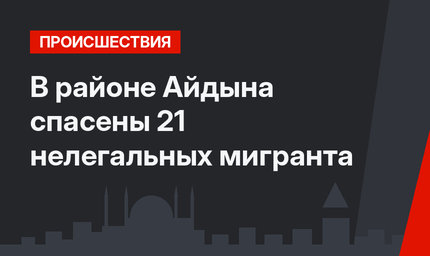 В районе Айдына спасены 21 нелегальных мигранта