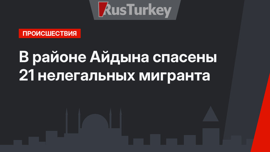В районе Айдына спасены 21 нелегальных мигранта