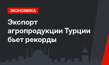 Экспорт агропродукции Турции бьет рекорды
