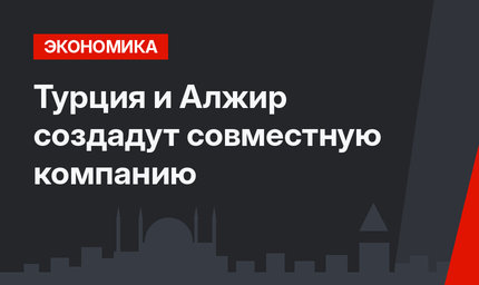 Турция и Алжир создадут совместную компанию