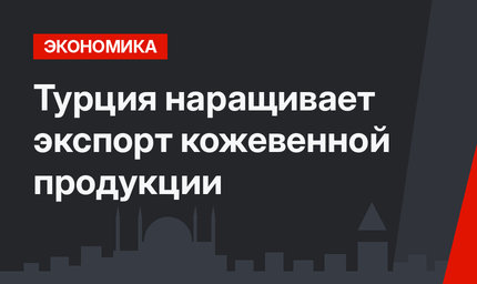 Турция наращивает экспорт кожевенной продукции