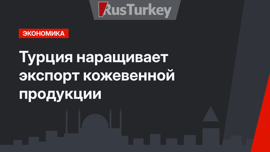 Турция наращивает экспорт кожевенной продукции