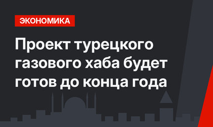 Проект турецкого газового хаба будет готов до конца года