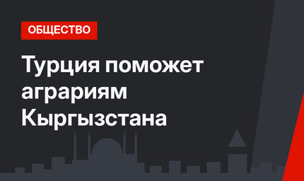  Турция поможет аграриям Кыргызстана