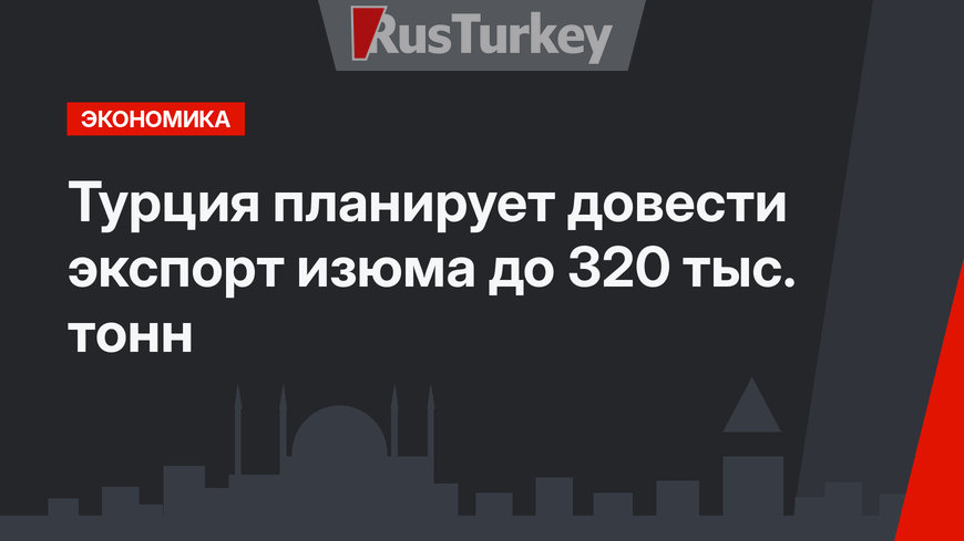 Турция планирует довести экспорт изюма до 320 тыс. тонн