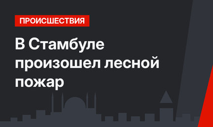 В Стамбуле произошел лесной пожар