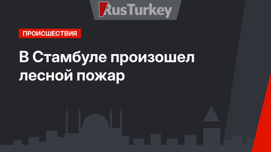 В Стамбуле произошел лесной пожар
