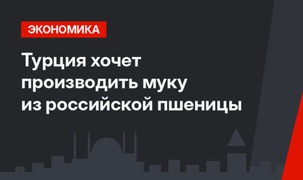 Турция хочет производить муку из российской пшеницы