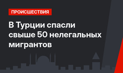 В Турции спасли свыше 50 нелегальных мигрантов