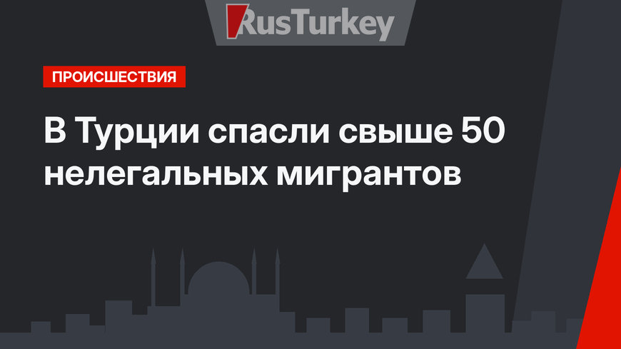 В Турции спасли свыше 50 нелегальных мигрантов