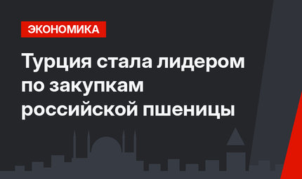 Турция стала лидером по закупкам российской пшеницы