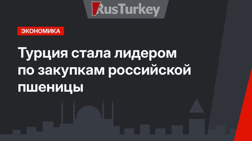 Турция стала лидером по закупкам российской пшеницы