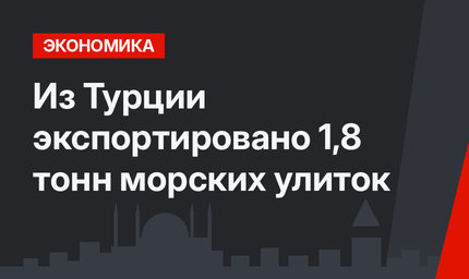 Из Турции экспортировано 1,8 тонн морских улиток