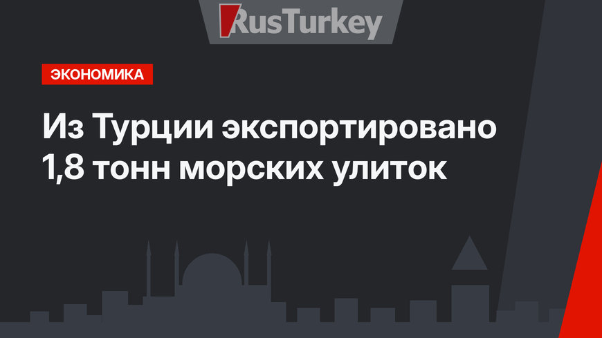 Из Турции экспортировано 1,8 тонн морских улиток