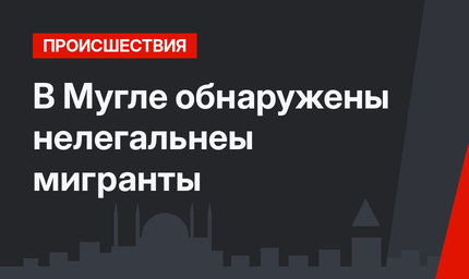 В Мугле обнаружены нелегальнеы мигранты